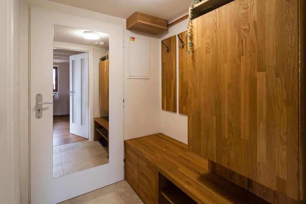 Luxusni Byt S Terasou V Centru เบอร์โน ภายนอก รูปภาพ